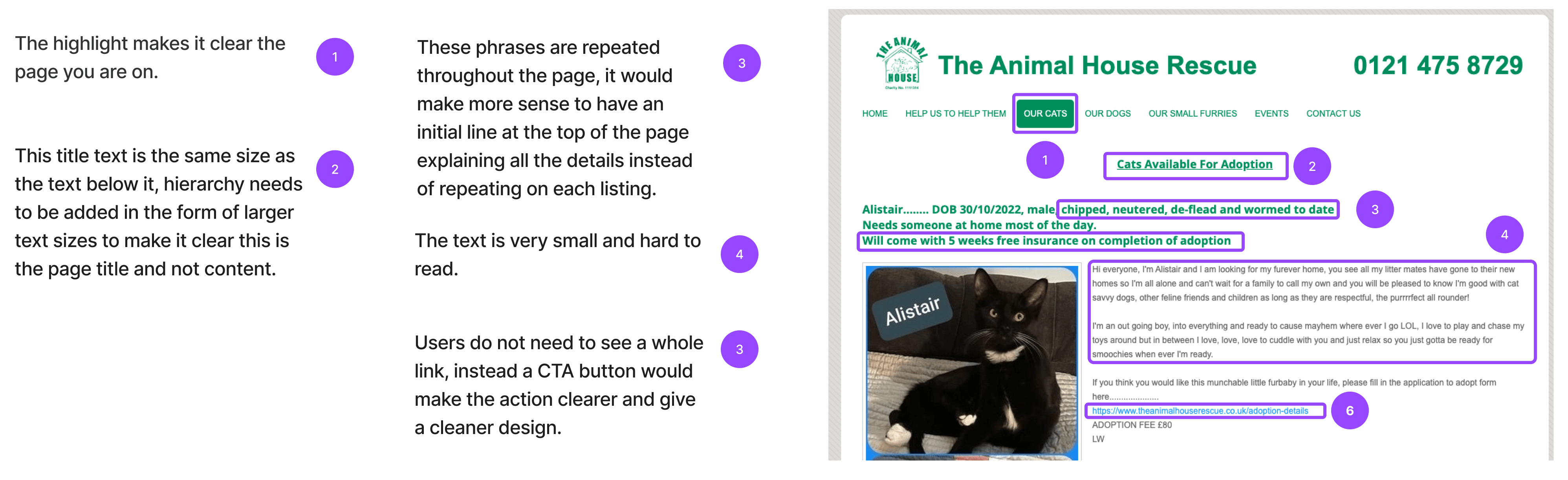 the heuristic analysis showing the comments made and highlihted issues on the website